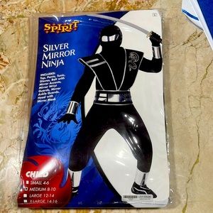 Silver Mirror Ninja